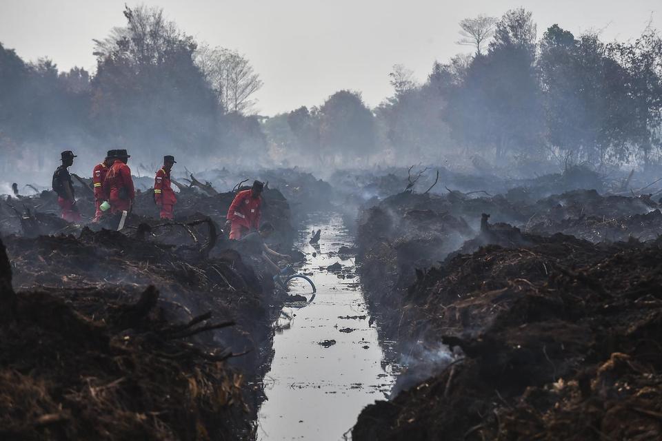 Ancaman Karhutla: Target FOLU Net Sink 2030 di Ujung Tanduk Ancaman Karhutla: Target FOLU Net Sink 2030 di Ujung Tanduk